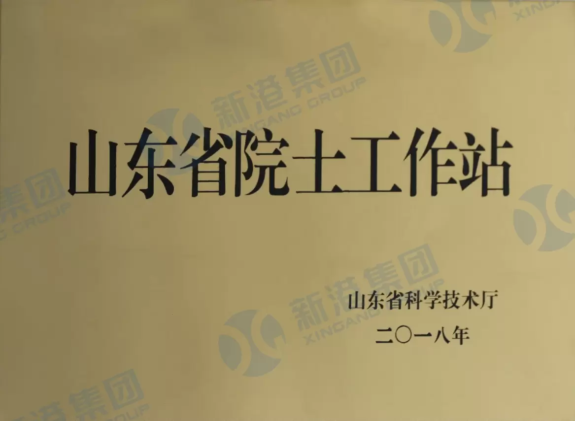 Punctul de lucru al academicienilor din provincia Shandong
