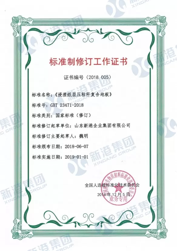 Certificat de Lucrare Standard de Revizie