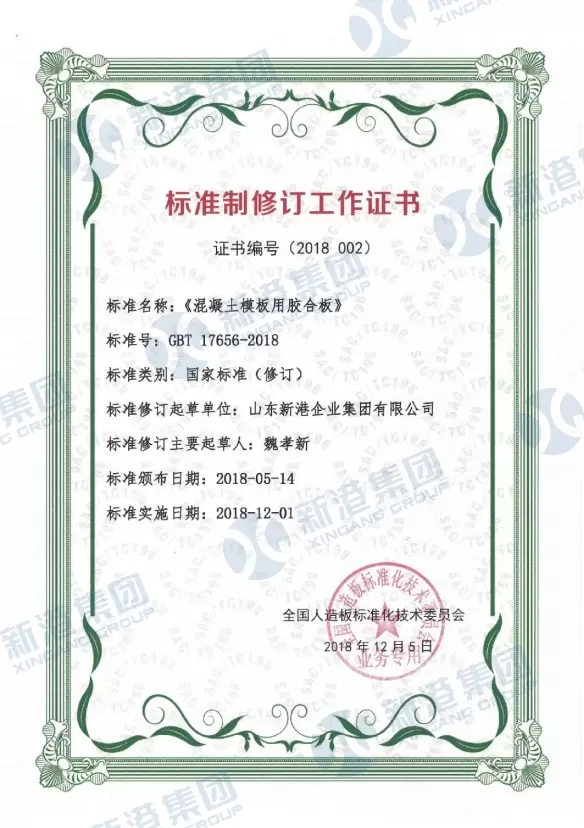 Certificat de Lucrare Standard de Revizie