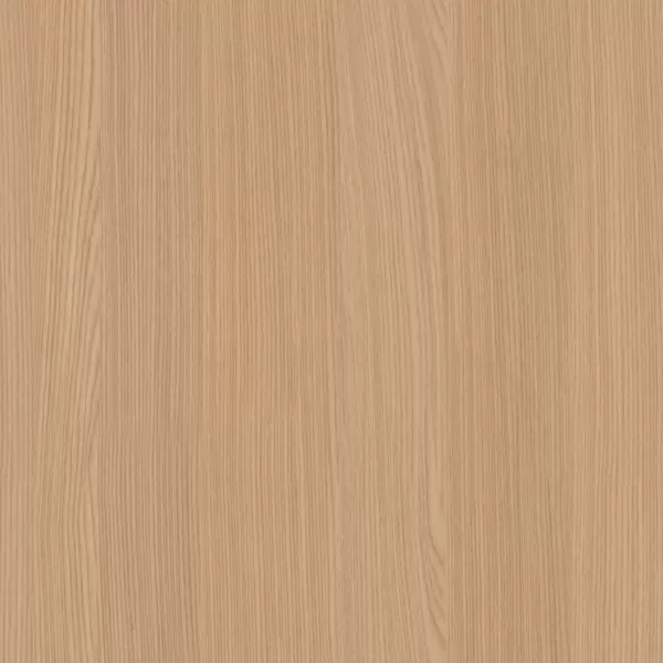 XGM301 Model elegant de ulm