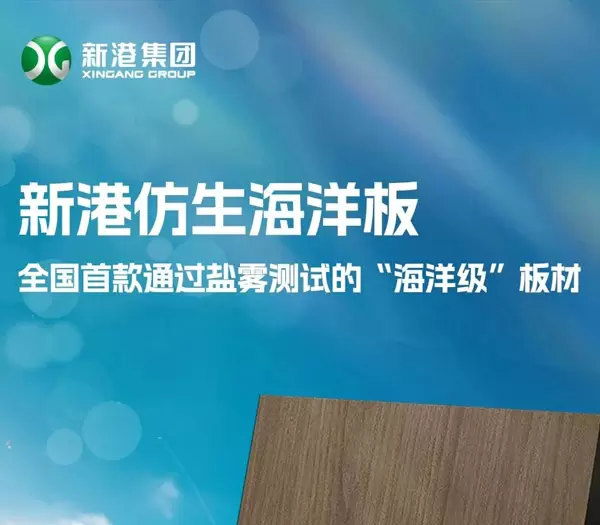 Placajul marin biomimetic Xingang trece testul de pulverizare cu sare