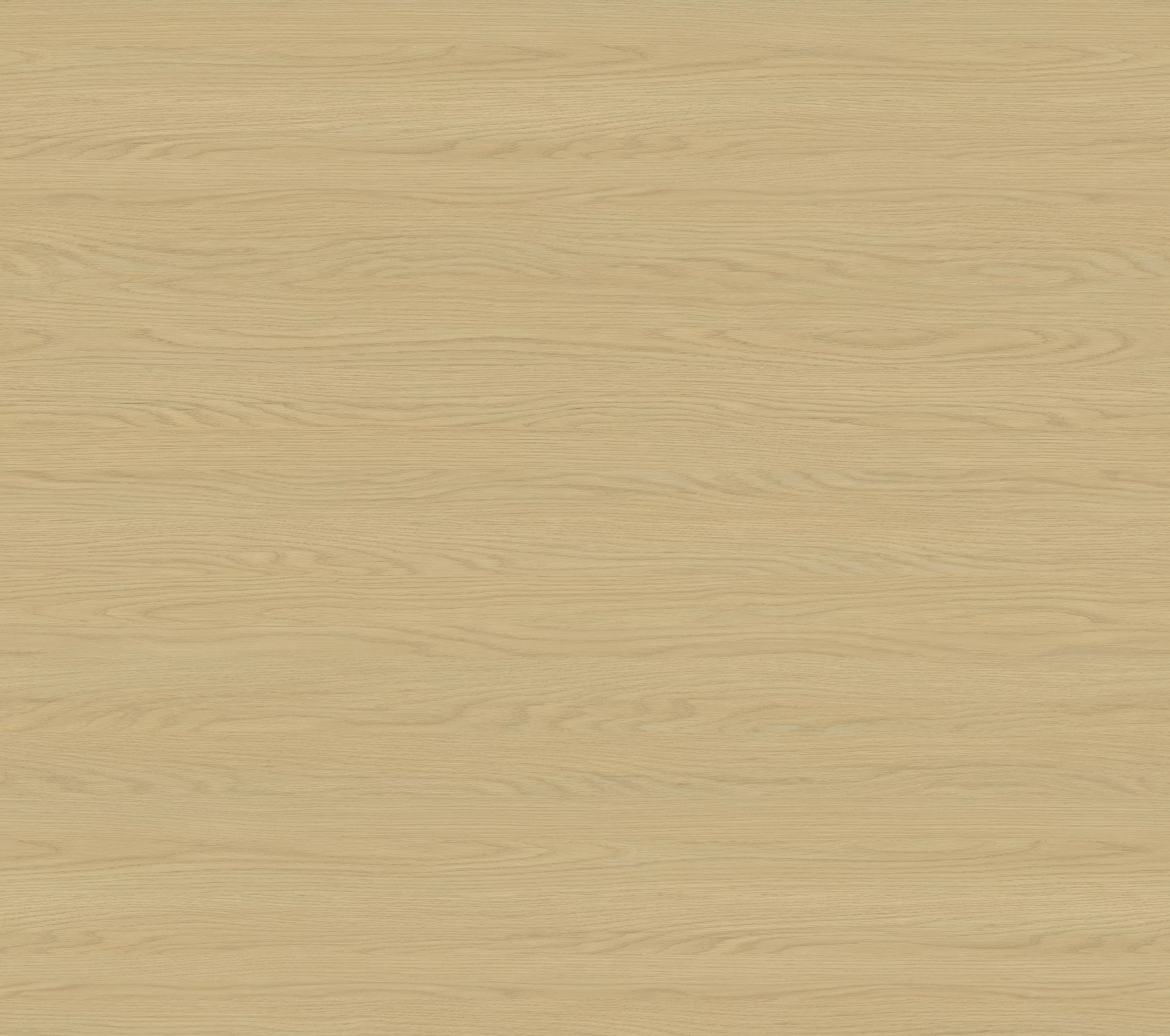 TB2517 Stejar Noah Granulație 2