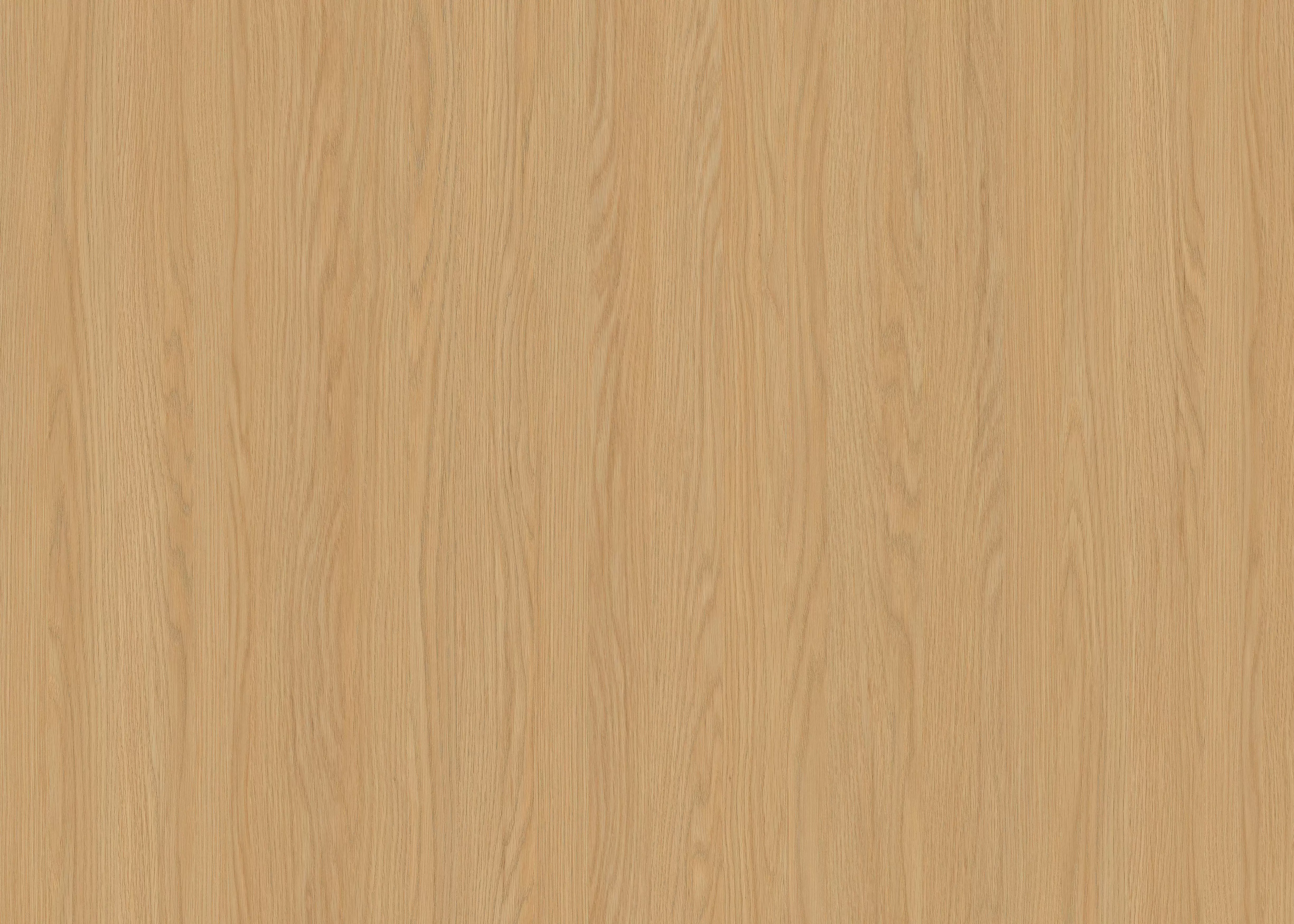 TB2518 Stejar Noah Granulație 3