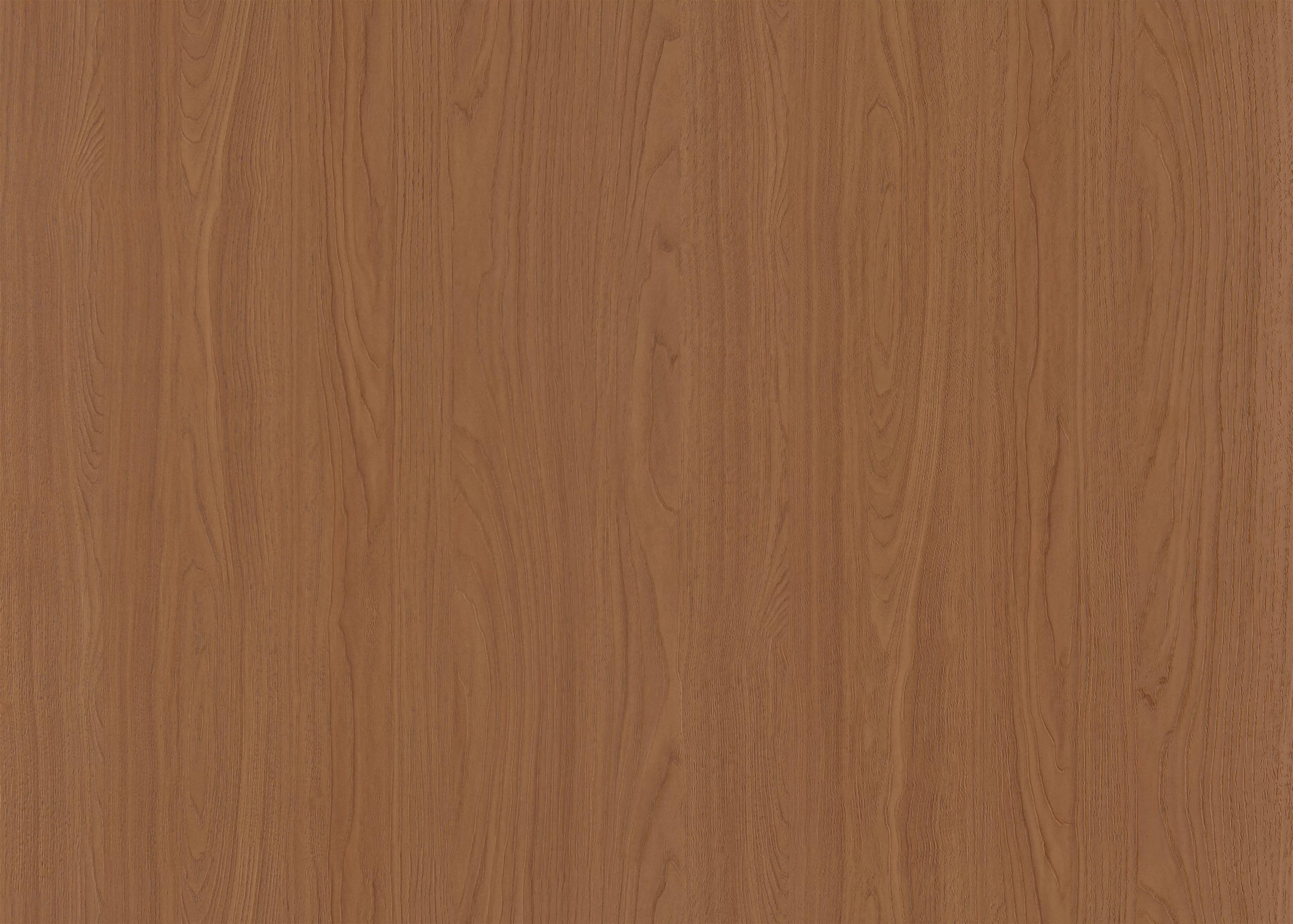 TB2521 Nucă Premium Boab-2